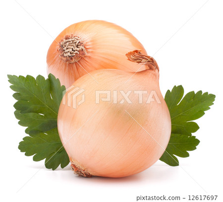Onion vegetable bulb and parsley leaves still life Onion vegetable bulb and parsley leaves still life 12617697