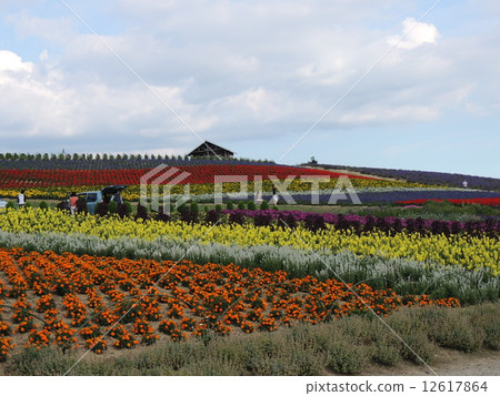 Kan farm flower garden Kan farm flower garden 12617864