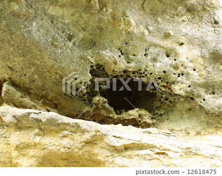 Worm Eating - 2 12618475