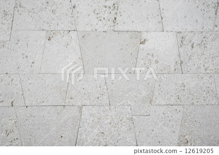 Ryukyu Limestone Wall Ryukyu Limestone Wall 12619205