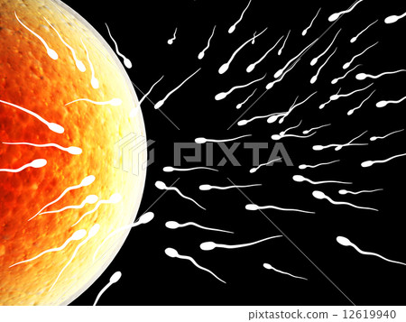 Spermatozoons, floating to ovule Spermatozoons, floating to ovule 12619940