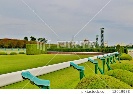 Hanshin racecourse Hanshin racecourse 12619988