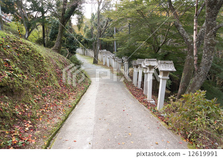 Yoshino mountain in autumn, a trail leading to Okunobu Yoshino mountain in autumn, a trail leading to Okunobu 12619991