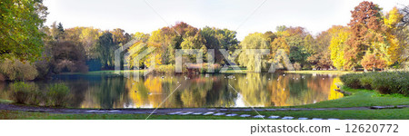 autumnal pond in park 12620772