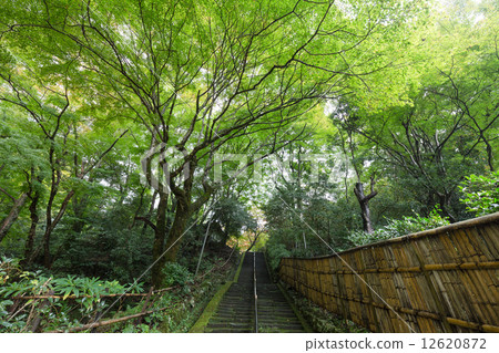 Thousand Buddhist Temple 12620872