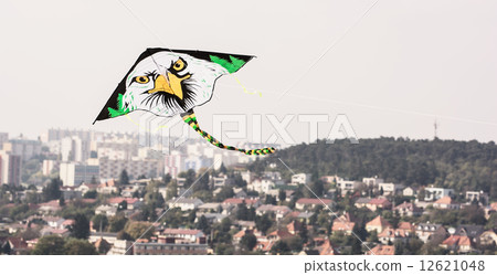 Kite flying - Bald eagle 12621048