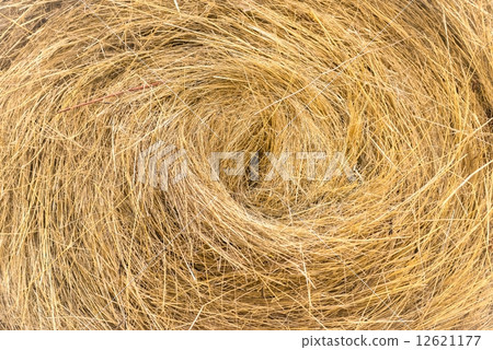 Hay bails on the field 12621177