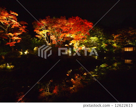 Tochigi Nikko Yamanote-ji Temple Young Paradise Light Up Tochigi Nikko Yamanote-ji Temple Young Paradise Light Up 12622613