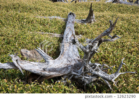 正樹KeHara 12623290