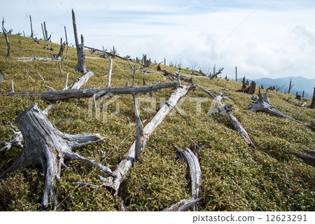 正樹KeHara 12623291