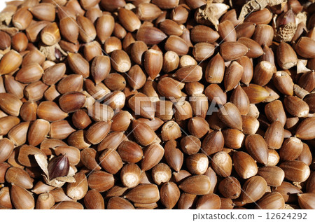 Many vertebrates Many vertebrates 12624292