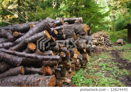 Firewood Firewood 12624445