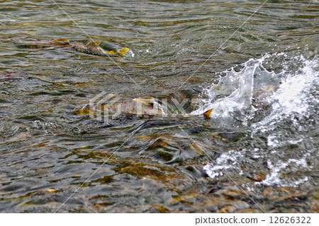 Go up the ridge 12626322