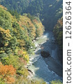 秋天的樹葉 12626364