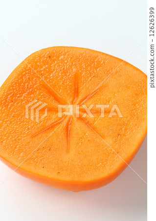 無籽柿子 12626399