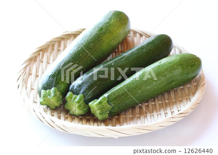 zucchini  12626440