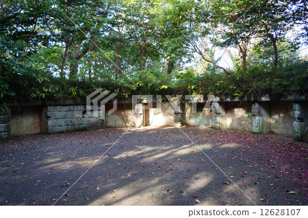 Samba house turret ruins 12628107