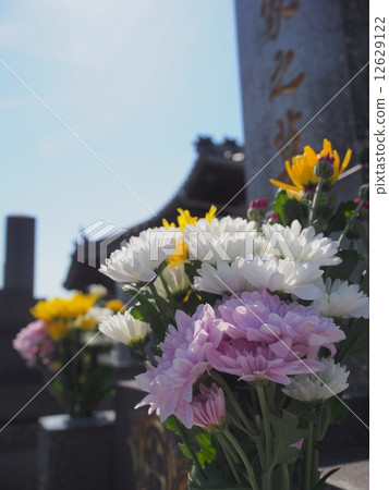 a visit to a grave  12629122