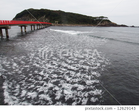 Oshima Oshima 12629143
