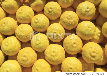 Yuzu - Stock Photo [12629421] - PIXTA