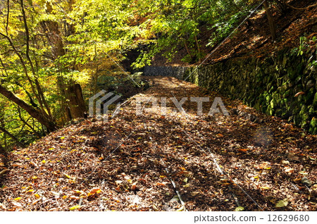 埼玉縣秋天Oku秩父市川谷部隊路徑和秋葉 埼玉縣秋天Oku秩父市川谷部隊路徑和秋葉 12629680