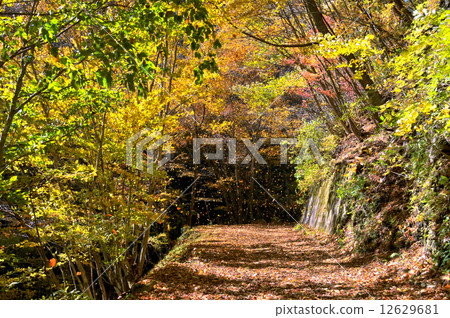 埼玉縣秋天Oku Chichibu Irikawa Valley徒步旅行 12629681