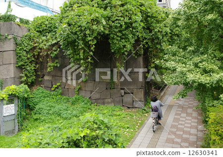 Akasaka Mitsuke Trace 12630341