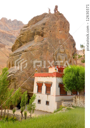 Murbek gomper 12630371