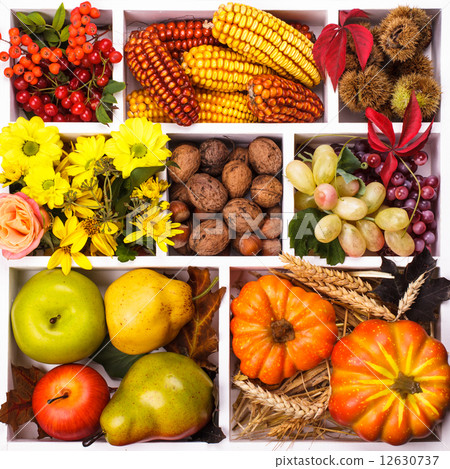 Autumn in a box Autumn in a box 12630737