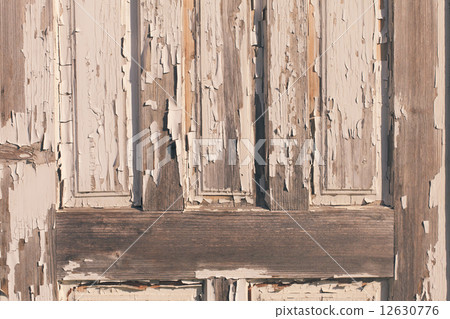 Old doors 12630776