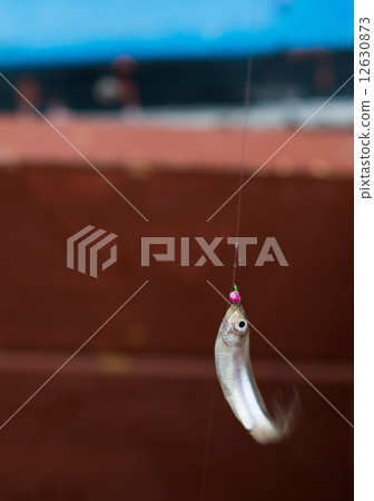 魚被抓住了 魚被抓住了 12630873