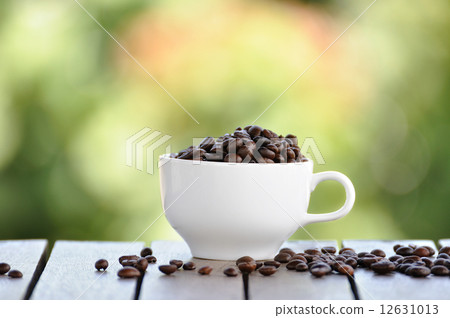 Coffee seeds with white cup and nice bokeh blur background. 12631013