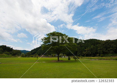 市上谷朝倉遺址•公園 市上谷朝倉遺址•公園 12632383