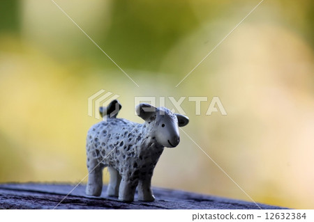 未選中的項目 未選中的項目 12632384