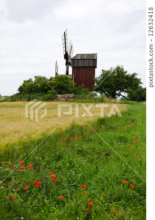 Road-side with poppies and windmill 12632418