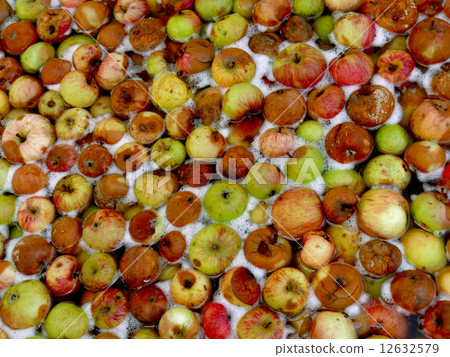 apples floating in water 12632579