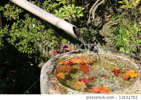 秋天的一天 12632781