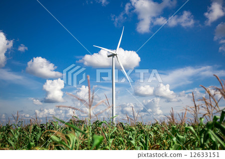Wind Turbine Farm Wind Turbine Farm 12633151