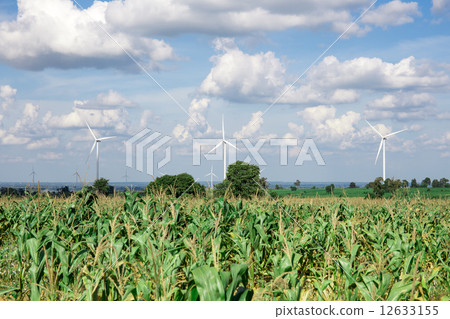 Wind Turbine for alternative energy on background sky on Cassava Wind Turbine for alternative energy on background sky on Cassava 12633155