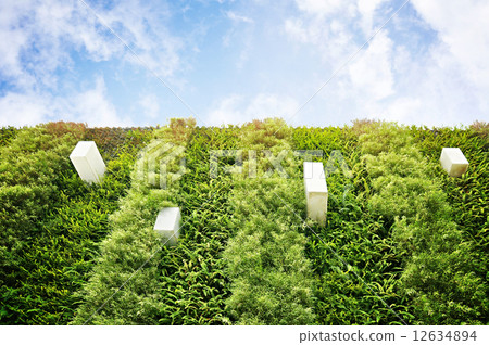 Green vertical garden wall Green vertical garden wall 12634894