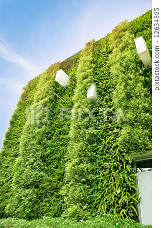 Green vertical garden wall Green vertical garden wall 12634895