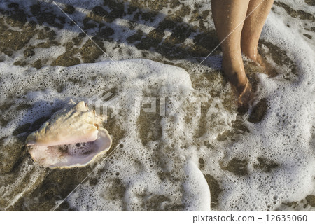 Foots in the see waves Foots in the see waves 12635060