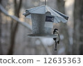Tits Turtle Bird Feeder 12635363