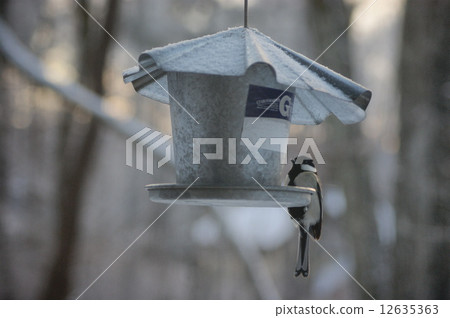 Tits Turtle Bird Feeder Tits Turtle Bird Feeder 12635363