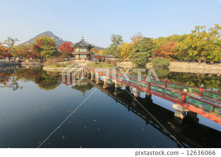 Gyeongbokgung Palace Royal Garden, Seoul, Korea 12636066