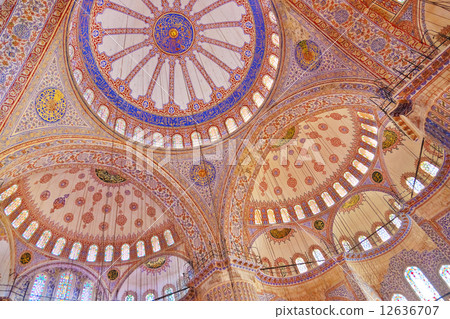 Blue mosque interior in Istanbul Turkey 12636707
