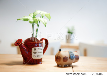 Cafe with two girls   12636869