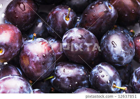 Fleshy plums Fleshy plums 12637851