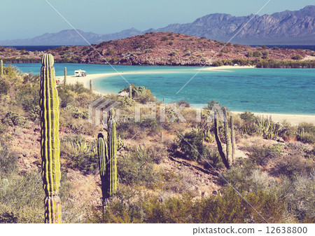 Baja California 12638800
