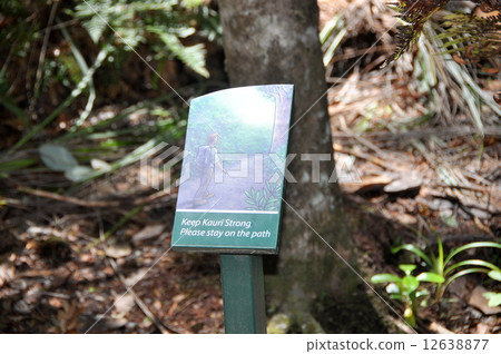Nature protection signboard 12638877